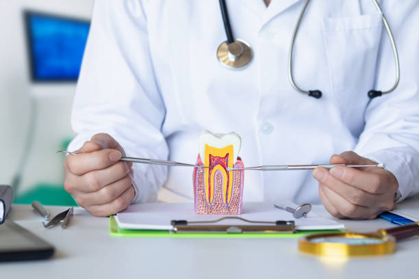 Best Emergency Wisdom Teeth Removal in Stockbridge, MI